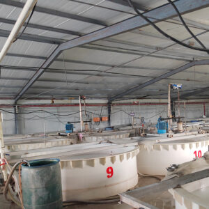 บ้าน -8-อลูมินาผสมสีขาว - HAIXU